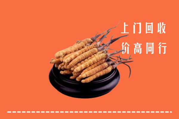 高价求购：南丹县回收散虫草